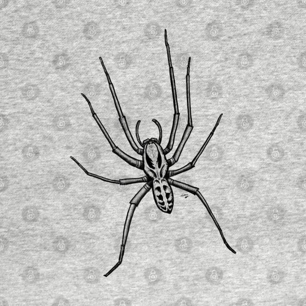 House Spider by Christine O'Neil Art